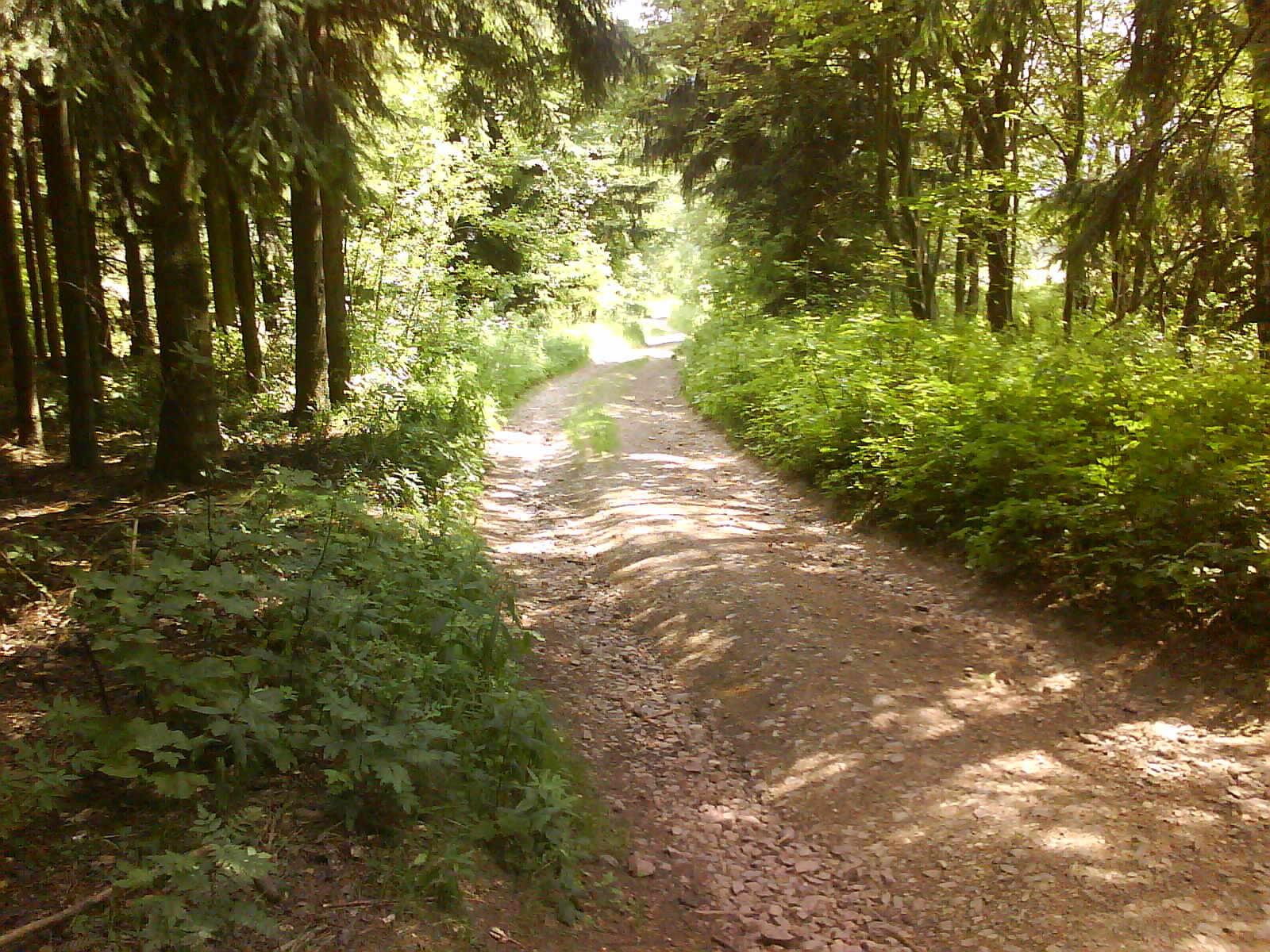dsc00118-1-